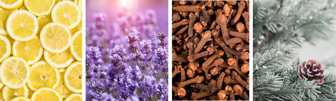 Seasonal Essential Oils: Aromatherapy for Every Time of Year