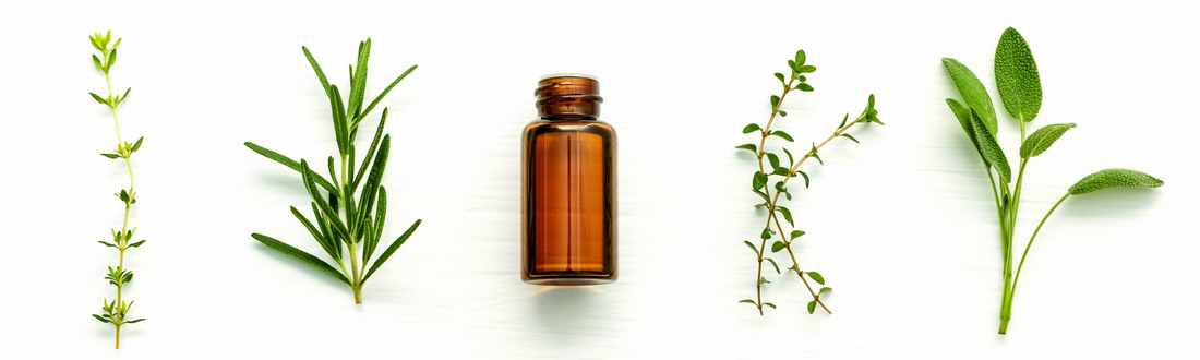 Most Popular Essential Oils and Their Uses