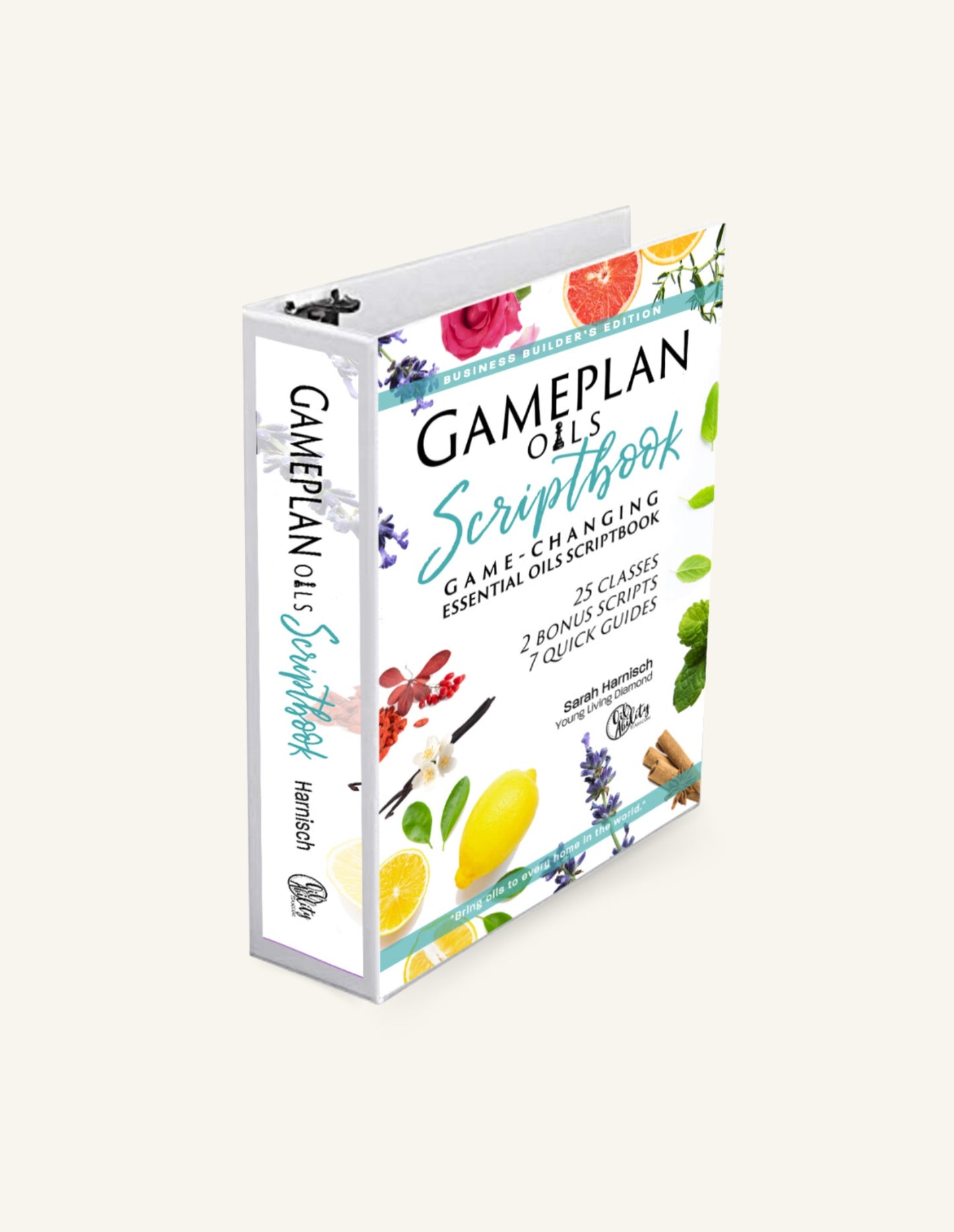 Gameplan Scriptbook, Teacher's Editions